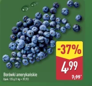 Borówki amerykańskie