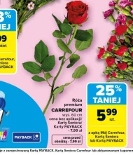 Роза Carrefour