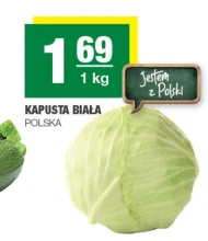 Kapusta biała Polski