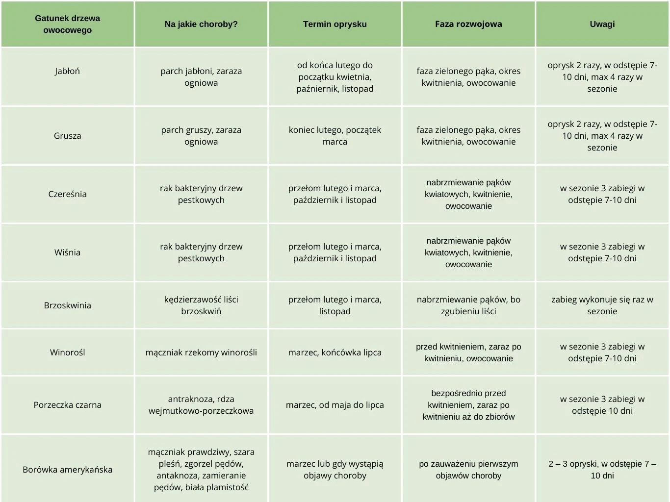 Terminy pryskania drzewek i krzewów owocowych miedzianem Tabela wymieniająca gatunki drzew owocowych wraz z informacjami o chorobach, terminach oprysków, fazach rozwojowych oraz praktycznymi uwagami dotyczącymi zabiegów ochronnych.