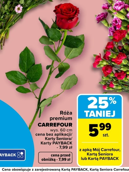 Роза Carrefour