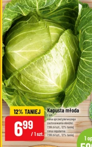 Kapusta młoda