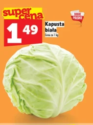 Kapusta biała