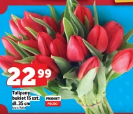 Bukiet Tulipany