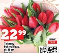 Bukiet Tulipany