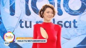 Halo tu metamorfoza! 