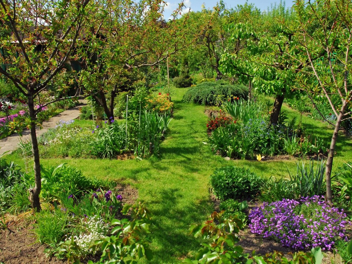 Najważniejsza zasada ogrodnictwa mówi, aby obok siebie sadzić rośliny o podobnych preferencjach glebowych i stanowiskowych Drzewa owocowe w ogrodzie