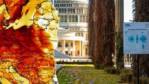 Przed Halą Stulecia we Wrocławiu pojawiły się pierwsze krokusy. Pogoda w Polsce robi się coraz bardziej wiosenna