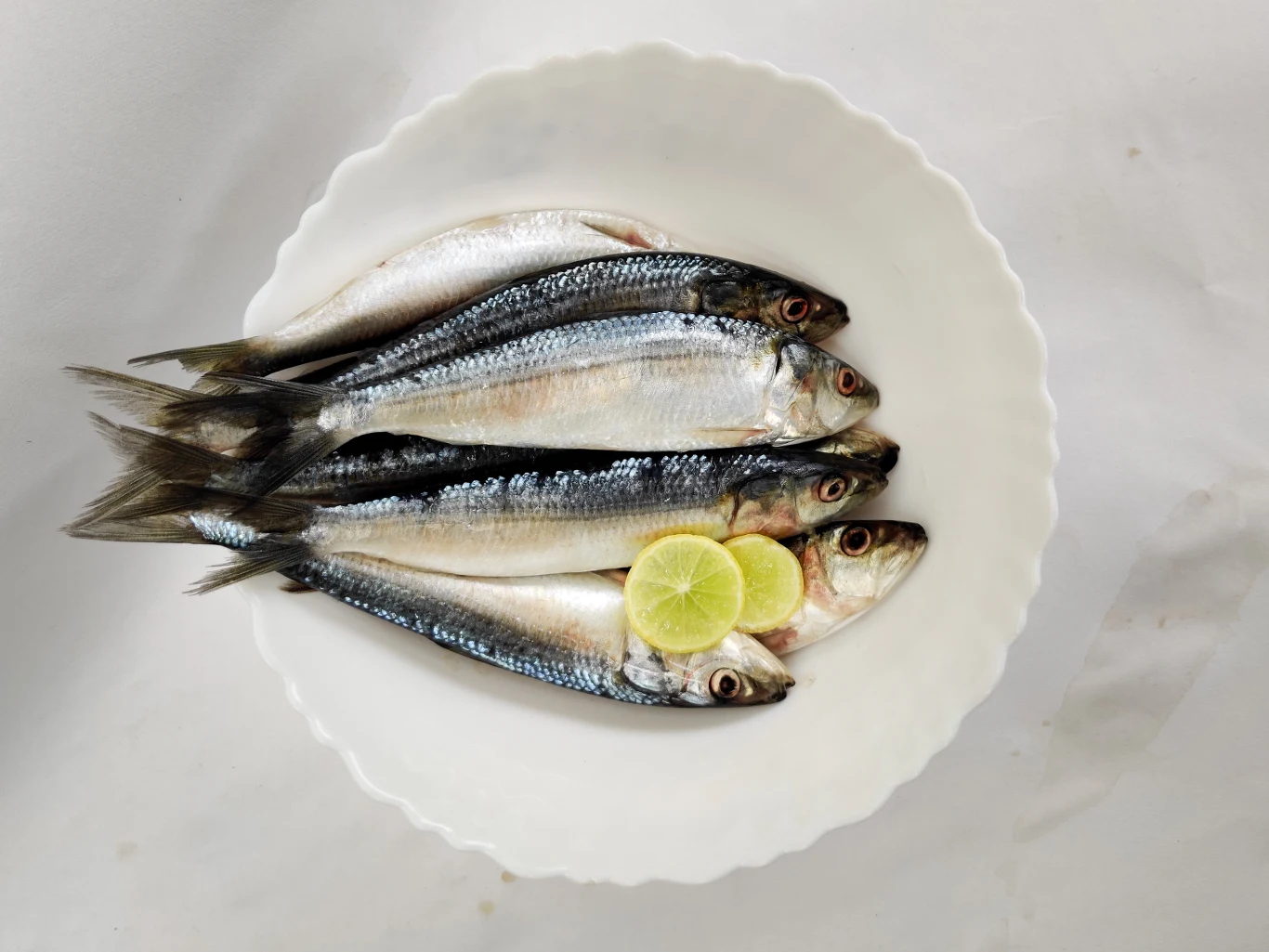 Cztery świeże ryby ułożone obok siebie na białym talerzu, ozdobione trzema plasterkami limonki położonymi w pobliżu głów ryb.