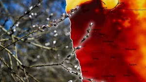 Wiosna umacnia się w Polsce. Nie wszędzie będzie jednak słonecznie