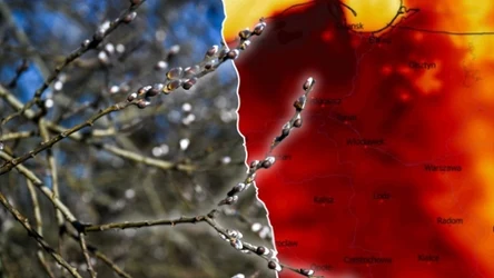 Aura staje się coraz bardziej wiosenna. Wtorek będzie ciepły w praktycznie całym kraju, miejscami będzie około 15 stopni
