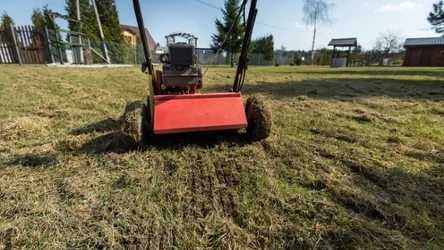 Wiosenna wertykulacja trawnika. Jaki termin jest najlepszy?