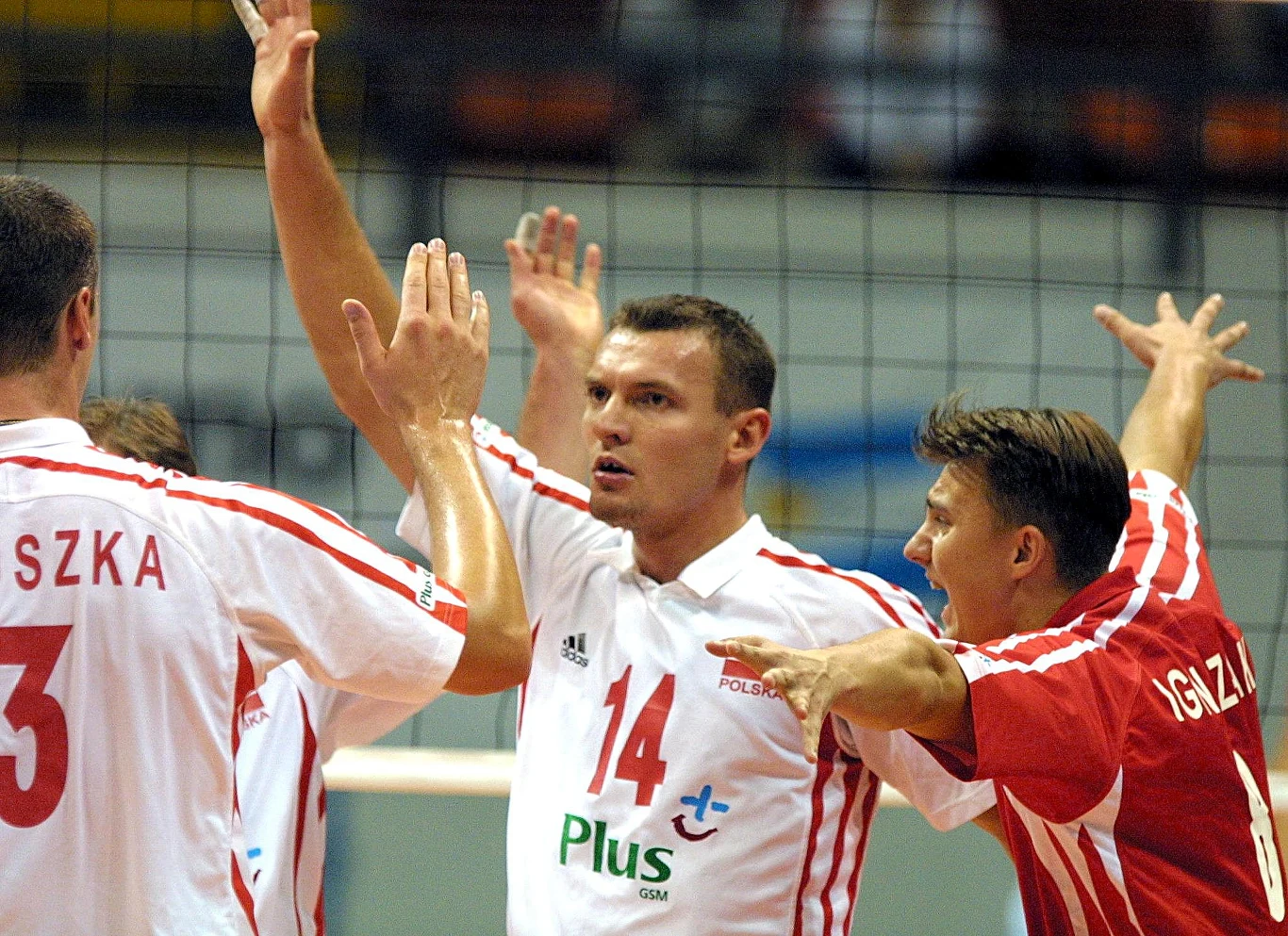 Polscy siatkarze w biało-czerwonych strojach świętują zdobycie punktu na boisku, unosząc ręce w geście radości i determinacji.