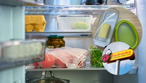 Moja lodówka w końcu przestała śmierdzieć. Te pojemniki od czwartku w Biedronce