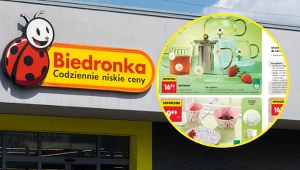 Te urocze naczynia z Biedronki wyglądają jak z drogiego sklepu. Ceny od 9,99 zł