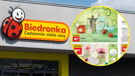 Te urocze naczynia z Biedronki wyglądają jak z drogiego sklepu. Ceny od 9,99 zł