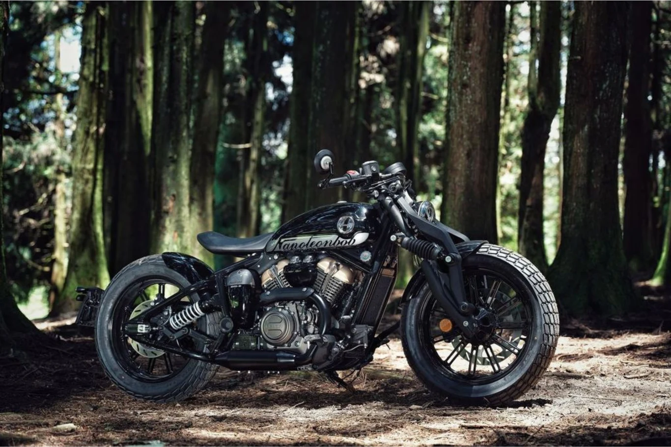 Czarny motocykl typu cruiser z grubymi oponami i stylizowaną ramą stoi na leśnym podłożu wśród wysokich drzew, światło słoneczne przebija się przez korony, tworząc kontrasty na ziemi i maszynie.