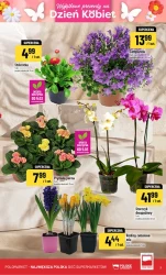 Super hity na 8 marca - POLOmarket