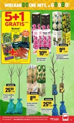 Суперхіти до 8 березня - POLOmarket