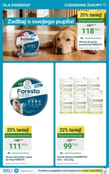 Prezenty na Dzień Kobiet - ERLI