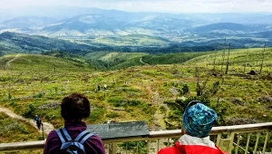 Idealna trasa na wiosenną wycieczkę. Wejście łatwe, a widok z wieży robi wrażenie 