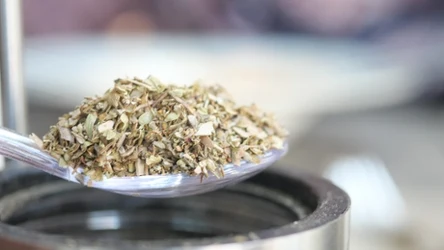 Dlaczego warto jeść sproszkowaną pokrzywę?