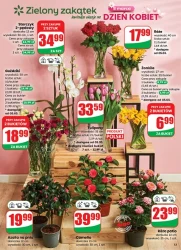 Kwiaty i słodkości na dzień kobiet - Dino