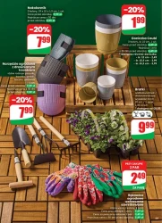 Kwiaty i słodkości na dzień kobiet - Dino