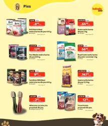 Hity cenowe - Kakadu