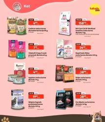 Hity cenowe - Kakadu