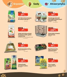 Цінові хіти - Какаду