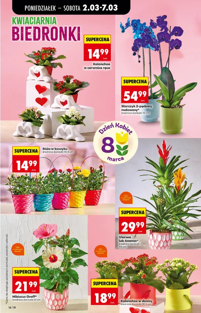 Kwiaciarnia Biedronki – oferta na 8 marca, źródło: gazetka Biedronka, str. 18–19 Różnorodne doniczkowe kwiaty ozdobne ustawione w kolorowych opakowaniach, w tym storczyki, hibiskusy, kalanchoe oraz mieszanki roślin w koszyczkach i ozdobnych doniczkach z cenami i etykietami promocyjnymi, na tle dekoracyjnej różowej scenerii, z eleme...