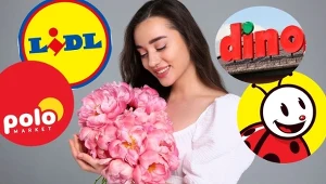Promocje na kwiaty przed 8 marca. Lidl, Biedronka, Dino, Polomarket – gdzie opłaca się kupić?
