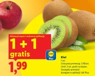 Kiwi Plus-Plus