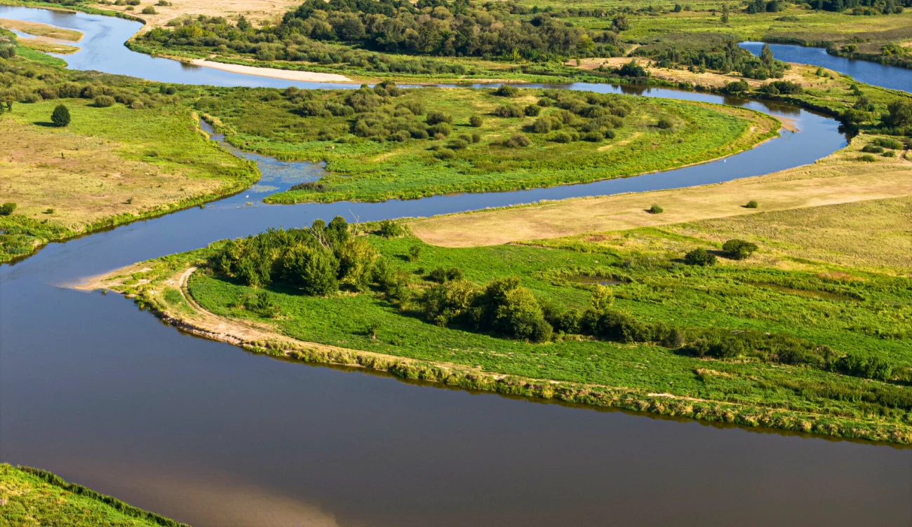 Rzeka w Polsce z zakazem fotografii Malowniczy fragment rzeki Bug przepływającej przez tereny porośnięte roślinnością.