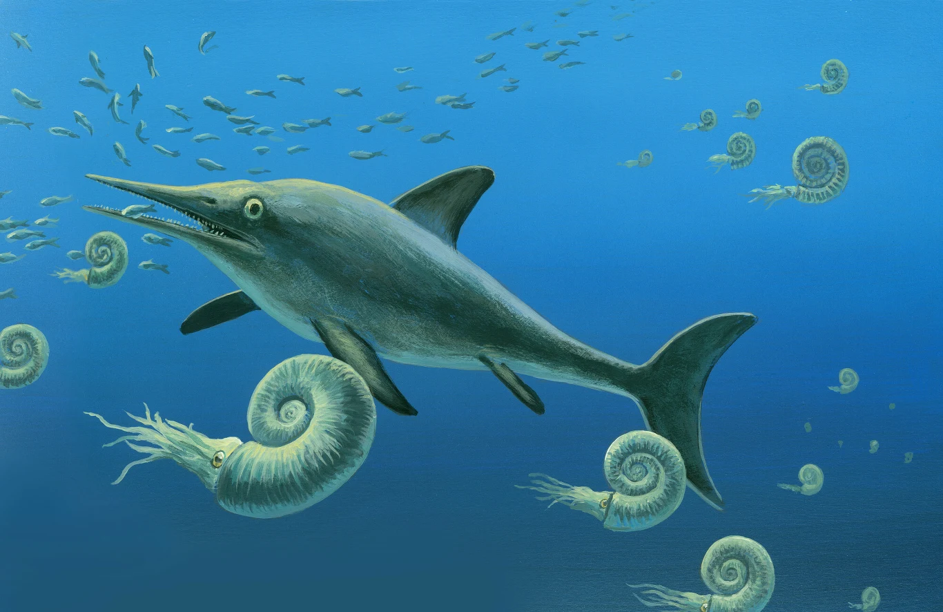 Duży prehistoryczny ichtiozaur z długim pyskiem płynie wśród licznych amonitów i ławicy małych ryb w błękitnych wodach oceanu.