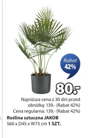 Sztuczna roślina S!