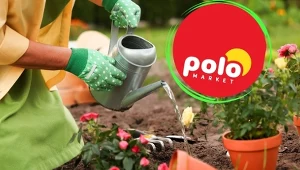 Ogród na wiosnę z Polomarketu. Najlepsze promocje i praktyczne wskazówki dla każdego