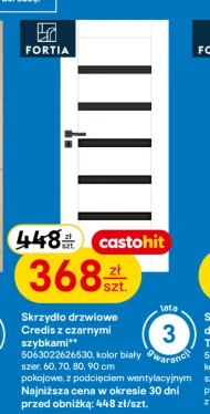 Дверне полотно Fortia