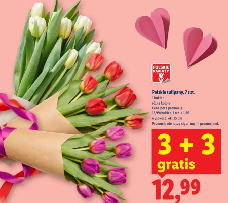 Букет тюльпанів Polskie kwiaty