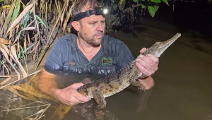 Wystraszony 12-latek zadzwonił do mamy. Wszyscy myśleli, że to żart