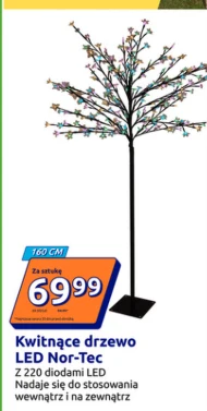 Декоративне дерево