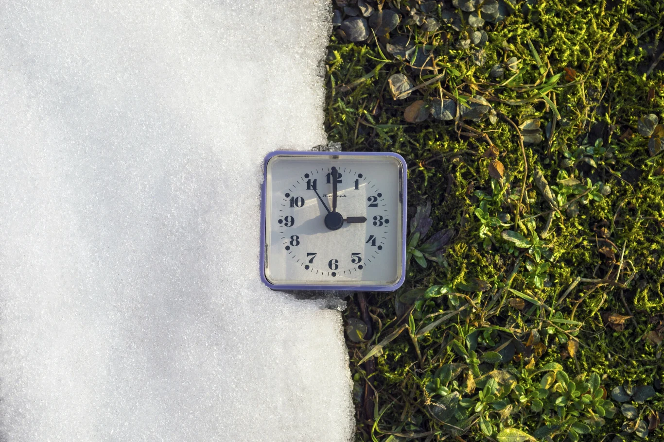 Budzik ustawiony na godzinę dwunastą leży na granicy śniegu i zielonego mchu, symbolizując kontrast pomiędzy zimą a wiosną.