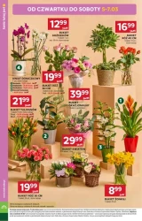 Super promocje – Stokrotka Market