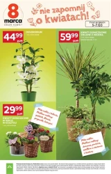 Promocje dla każdego – Stokrotka Supermarket