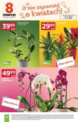 Promocje dla każdego – Stokrotka Supermarket