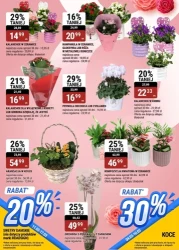 Цінові хіти цього тижня - bi1