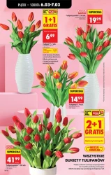Czas promocji – Biedronka