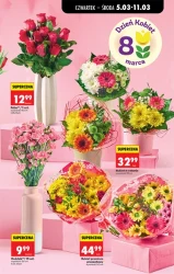 Czas promocji – Biedronka