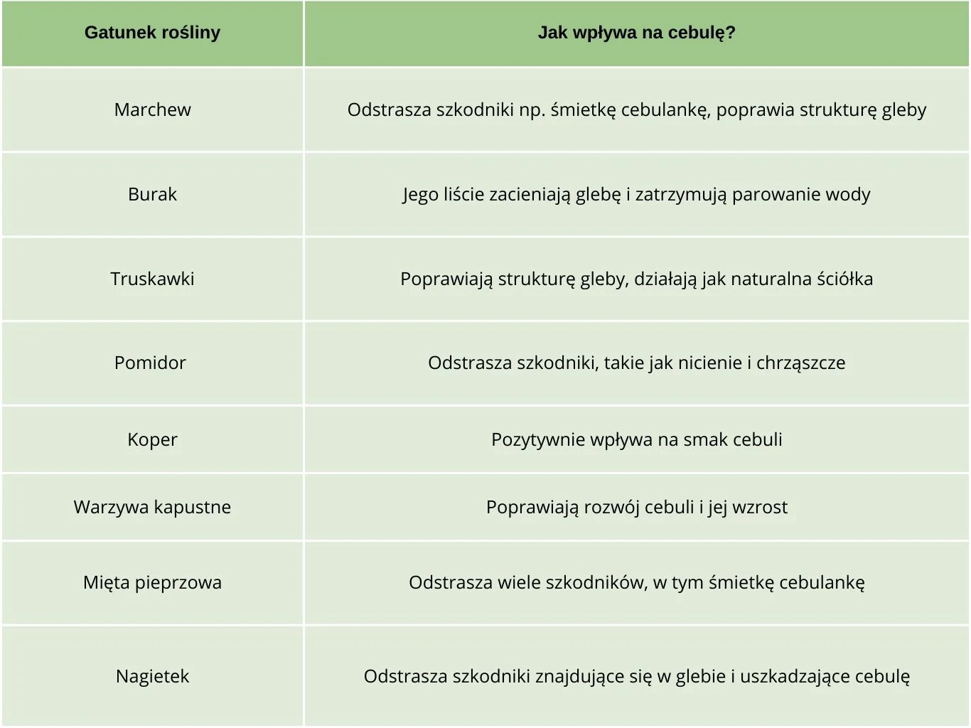 Tabela z dwoma kolumnami, po lewej stronie wymienione gatunki roślin, po prawej opisy ich wpływu na cebulę. 